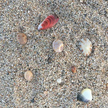 Appartement In Andreina