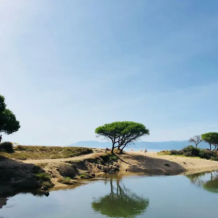 Appartamento In Andreina