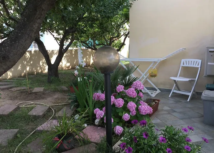 In Andreina Орозеи